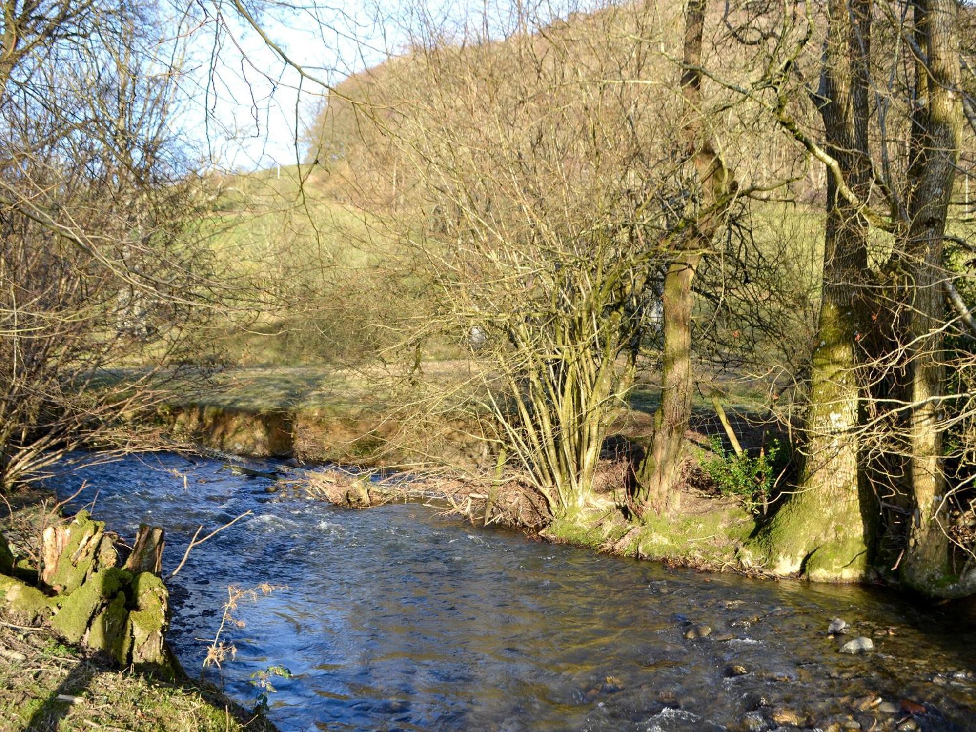 Vila Efyrnwy Pod Vip Llanfyllin Exteriér fotografie